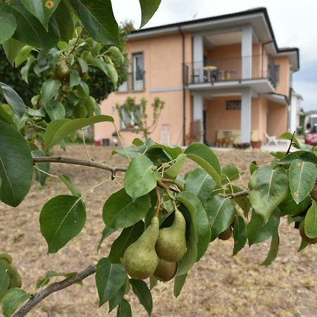 Natour L'Ostello Per I Camminatori 바리스치아노 외부 사진